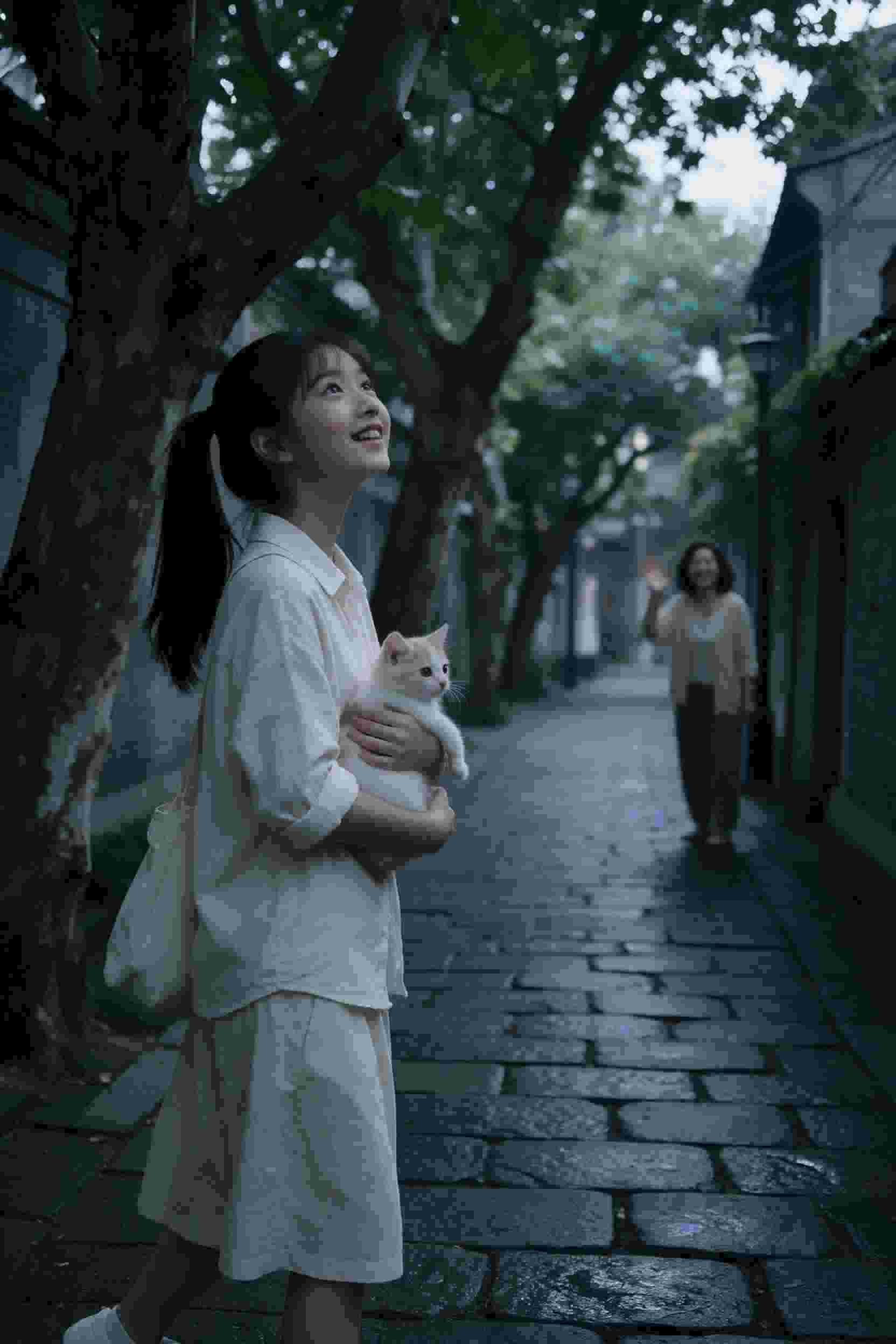 一起来看流星雨